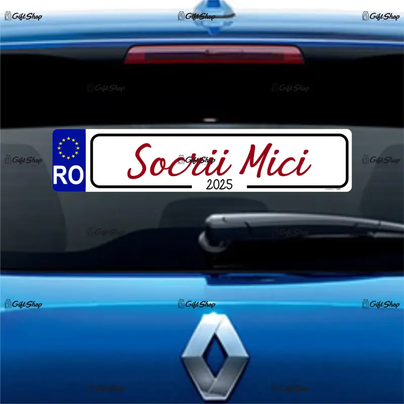 Socrii mici, indicator masina, 500x100 mm, model 1